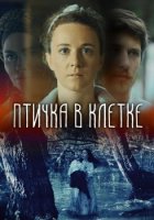 Птичка в клетке 2020