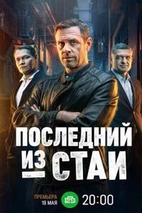 Последний из стаи 2024